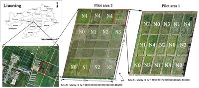 Estimating the rice nitrogen nutrition index based on hyperspectral transform technology